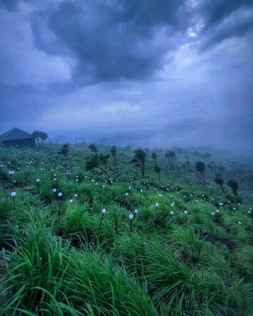 Palakkayam Thattu